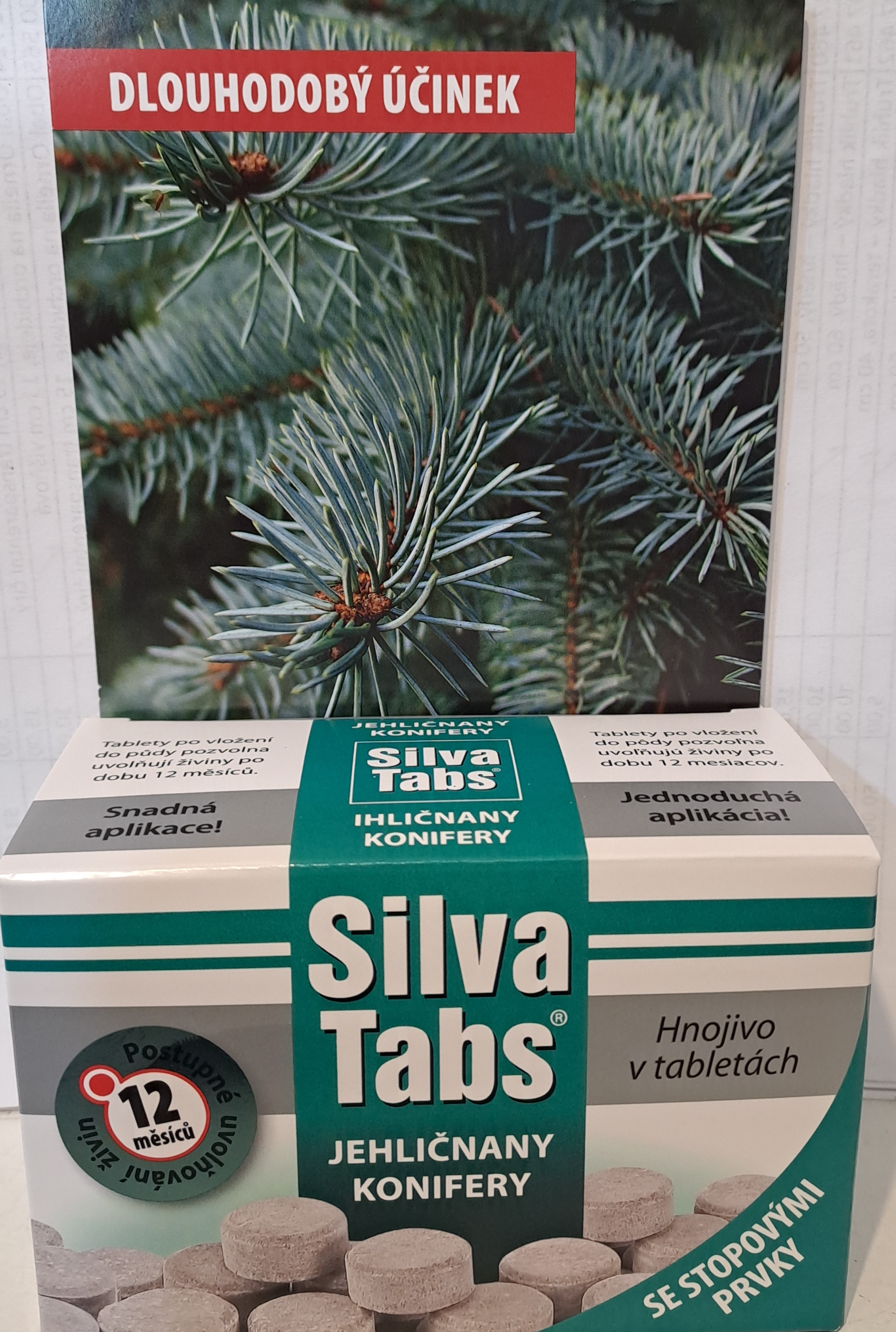 Silva Tabs - jehličňany, konifery