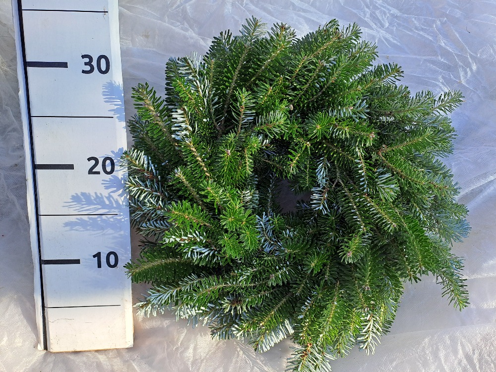 Věnec jedlový 30/35cm