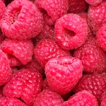 Rubus idaeus Bohéme