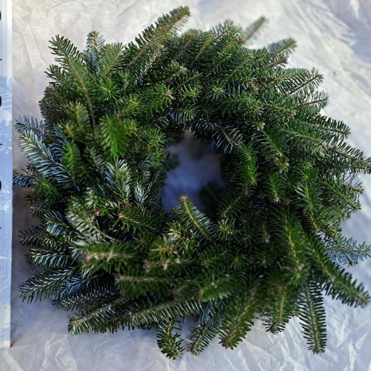 Věnec jedlový 35/40cm