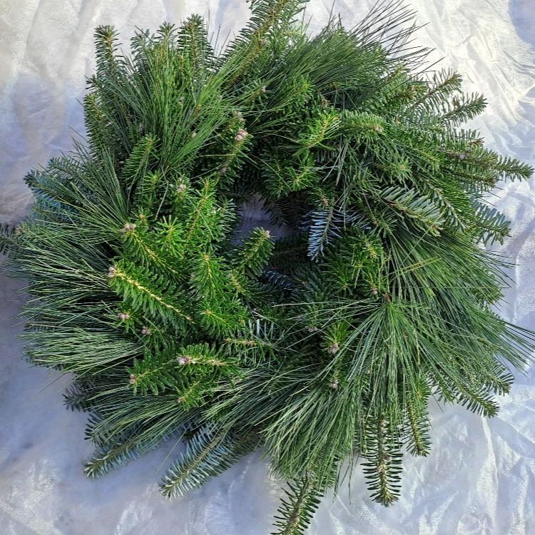 Věnec jedlový s borovicí 30/35 cm